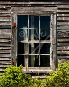 Jackson's Cove window